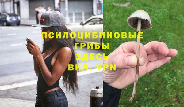 гашиш Коряжма