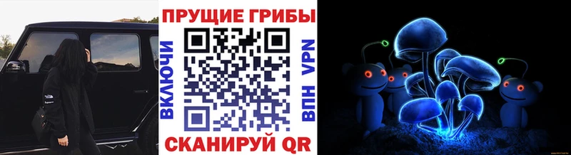 hydra ТОР  Невельск  Галлюциногенные грибы Psilocybine cubensis  дарнет шоп 